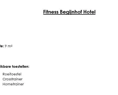Begijnhof 4* Λουβέν
