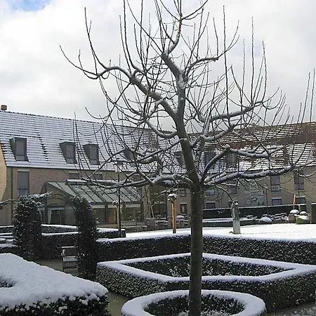 Begijnhof 4*