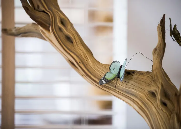 ホテル ベギンホフ